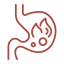 Gut Activation